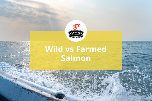 Wild vs Farmed Salmon