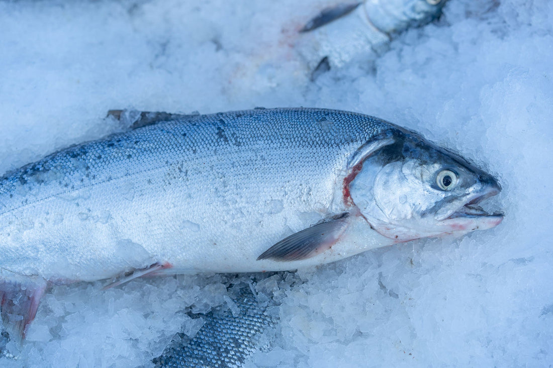 Flash Frozen vs. Fresh