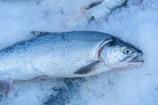 Flash Frozen vs. Fresh