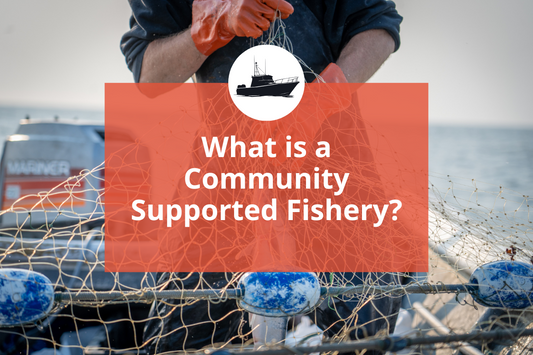 What is a Community Supported Fishery?