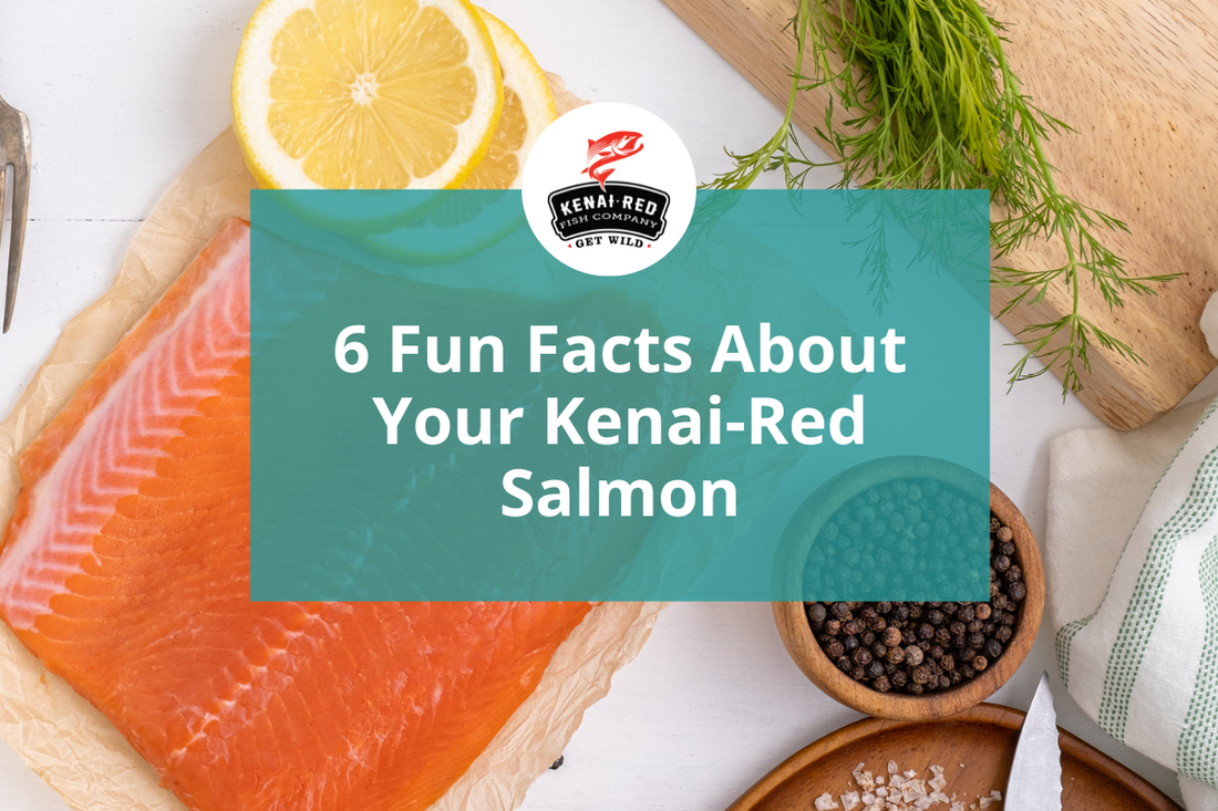 6 Fun Facts About Your Kenai-Red Salmon