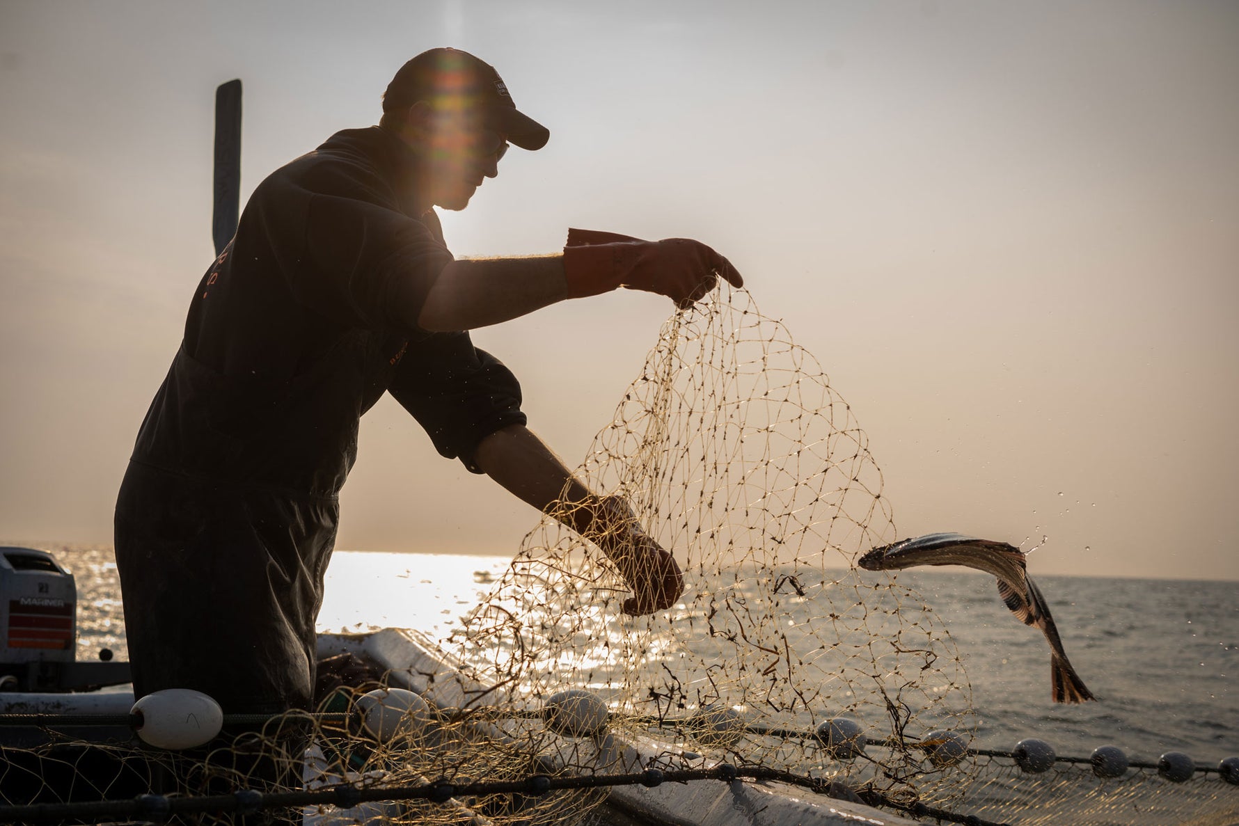 Kenai-Red Fish Company